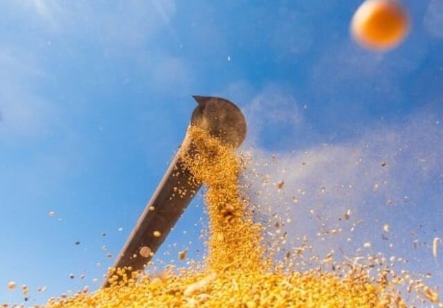 STF valida lei que restringe benefício fiscal para Moratória da Soja em MT