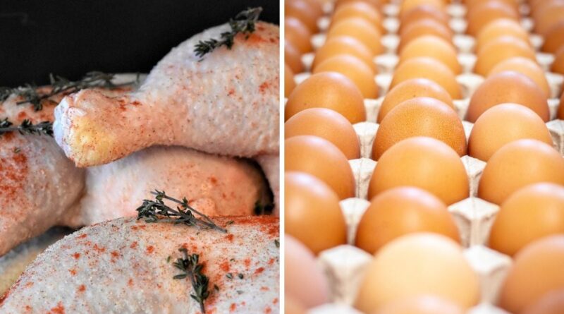 UE confirma pre-listing e libera retorno das exportações brasileiras de aves e ovos