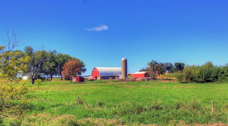 USDA deve cortar previsão da safra de soja dos EUA em 2025/26