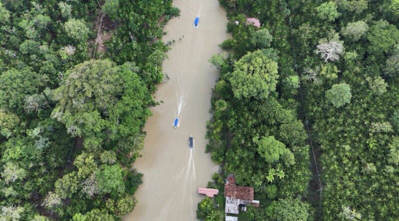 Você conhece a Ilha do Combu? Destino é destaque em meio à COP30
