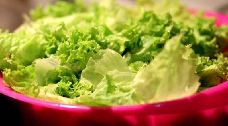 Alface registra queda de preço no atacado pelo 3º mês seguido em outubro, diz Conab