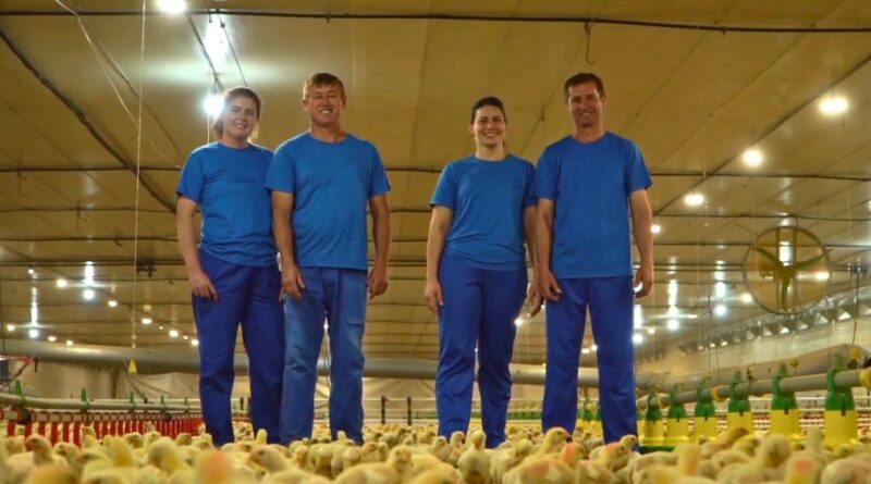 como uma decisão mudou a vida da família Gross