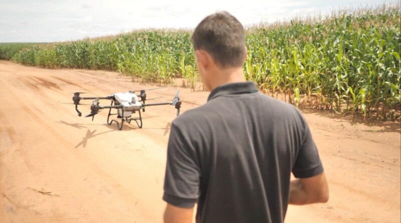 saiba os riscos legais da atividade