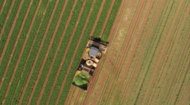 custo invisível consome patrimônio e exige atenção do pecuarista; entenda