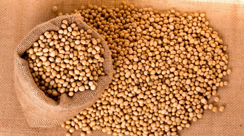 EUA registram 332 mil toneladas de soja vendidas à China desde outubro