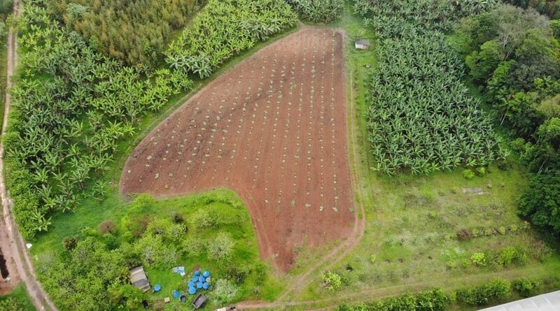Propriedade rural na capital paulista