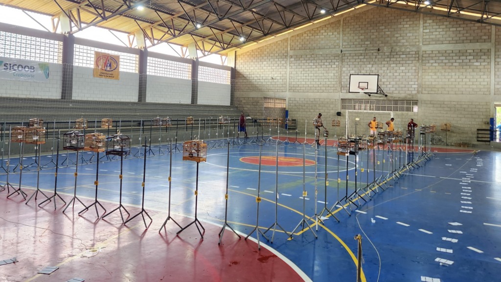 aves, bahia, apreensão