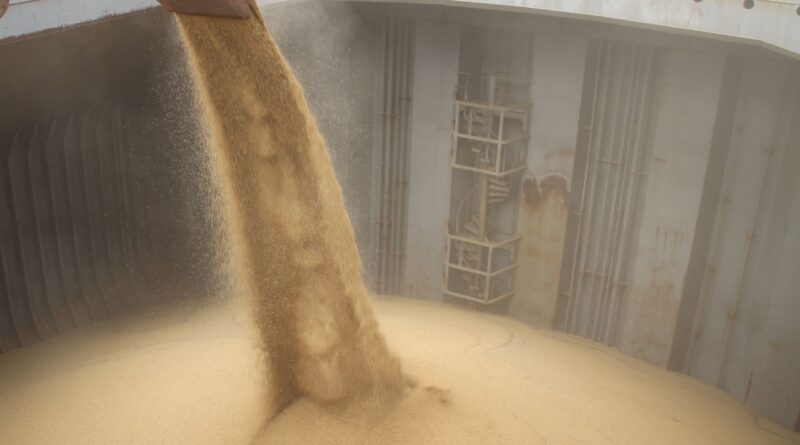 grãos, agricultores