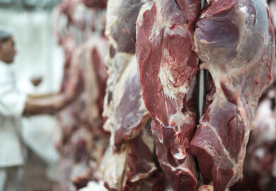 carne bovina frigoríficos