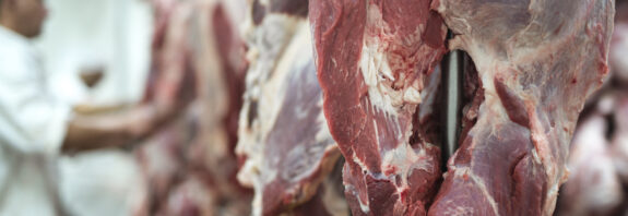 carne bovina frigoríficos