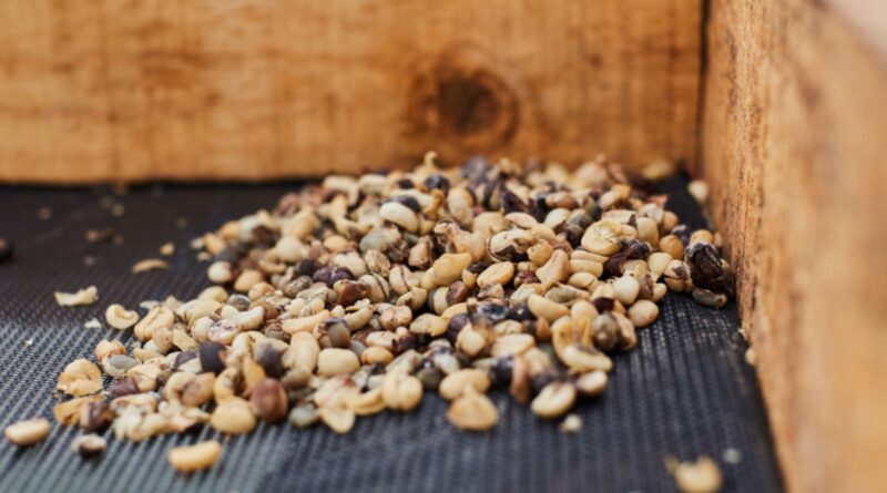 Foto: Divulgação/Mapa.