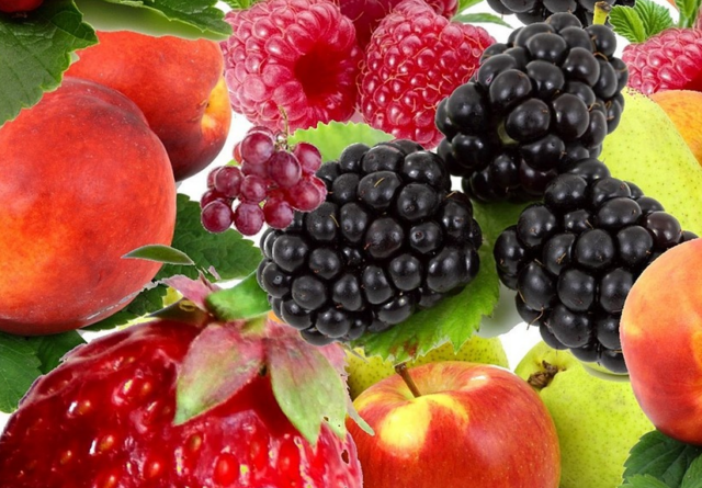 Frutas, Comida, Colheita