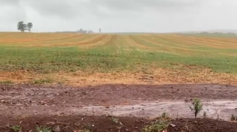 Chuvas retornam às lavouras de soja do RS após mais de 20 dias; ventos fortes causam estragos