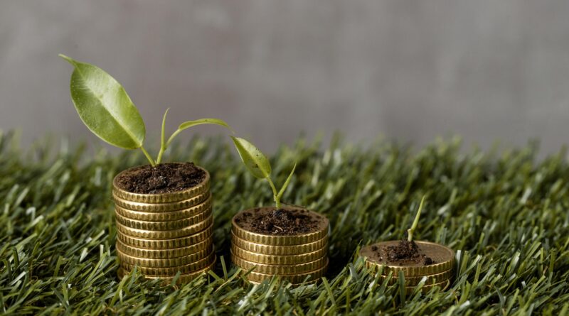 Fiagros, investimento, dinheiro, agro