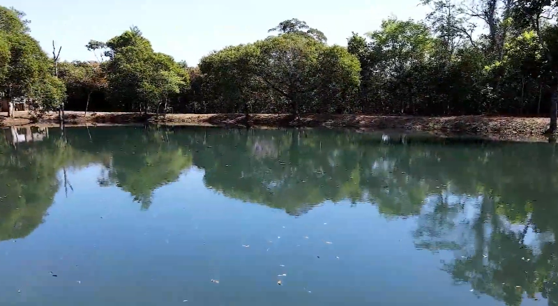 Como sojicultores adotam práticas agrícolas que ajudam a recuperar mananciais?