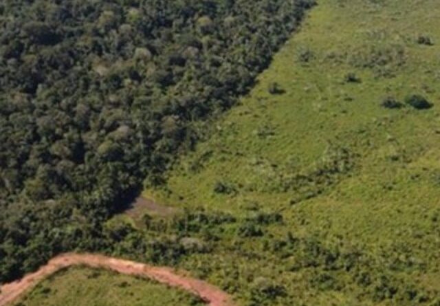terra indígena, Incra, regularização fundiária, cadastro rural