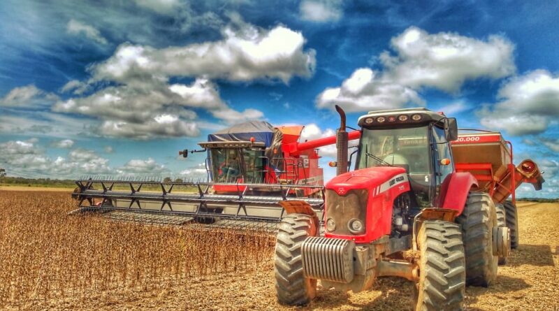 Embrapa aponta que área de soja em estado brasileiro deve ultrapassar 700 mil ha