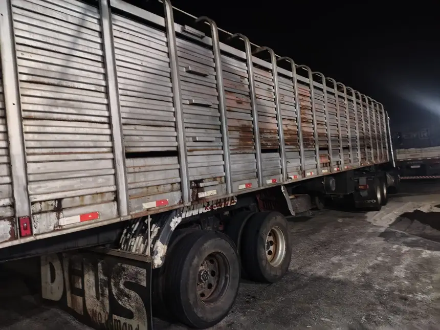 Gado; apreensão Sefa