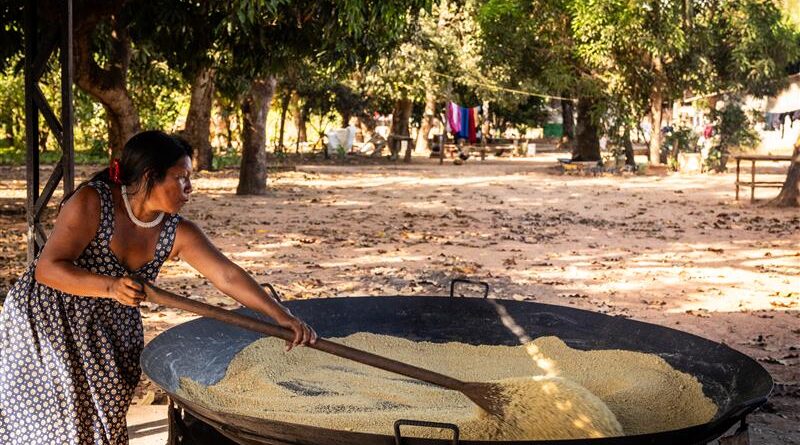 produçao na floresta amazônica