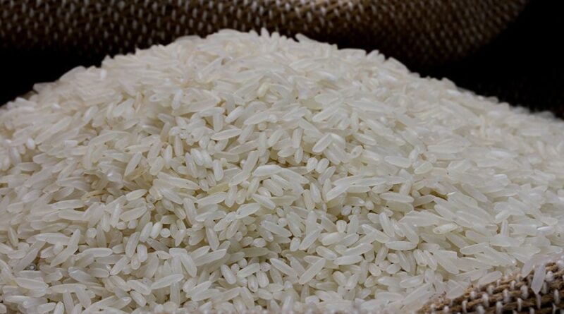 Indústria lança primeiro arroz rastreado com tecnologia da Embrapa