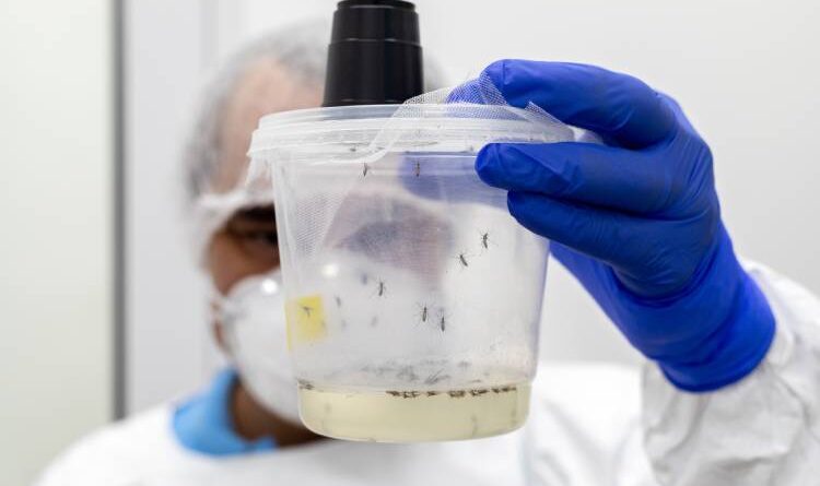 Instituto Butantan inaugura insetário para fortalecer combate a doenças virais