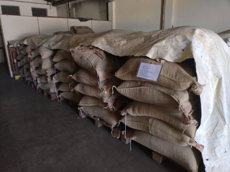 grãos, café, operação, santa catarina