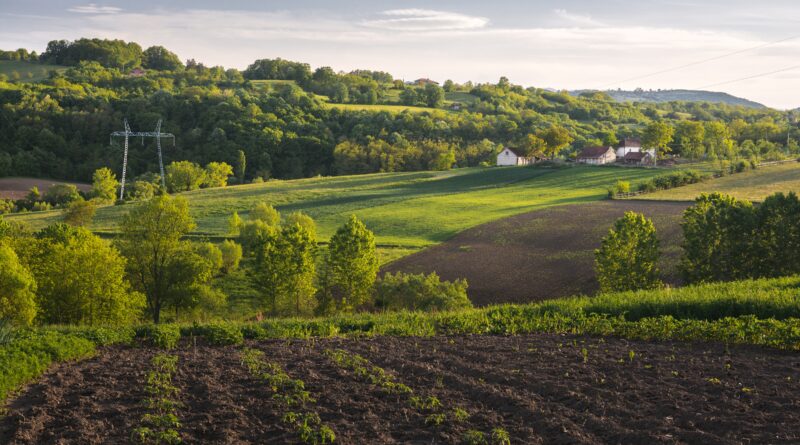 O Natal do produtor rural brasileiro