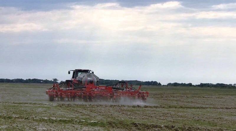 Plantio de arroz avança e se aproxima da conclusão nos principais estados produtores