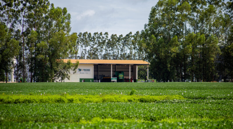 Produtores de MT recebem orientações técnicas a partir de pesquisas do Centro Parecis
