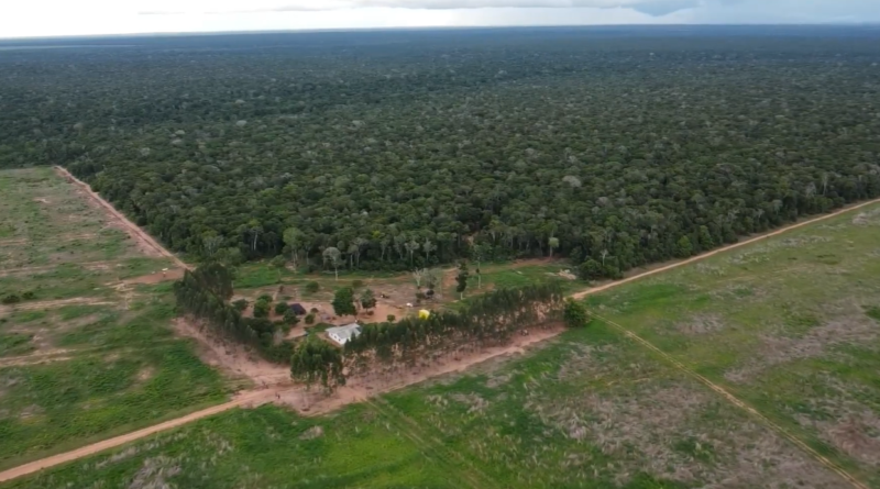 indigenas; homologação de terras