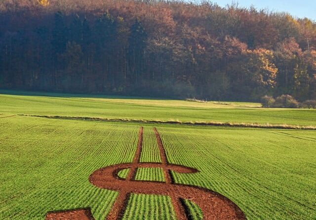 Projeto blinda seguro rural de contingenciamento do governo