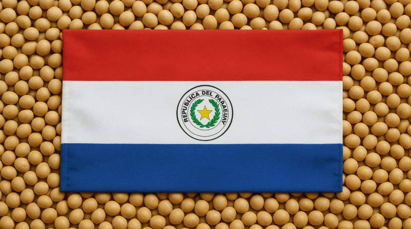 Safra de soja do Paraguai deve alcançar 10,5 milhões de t após desafios climáticos