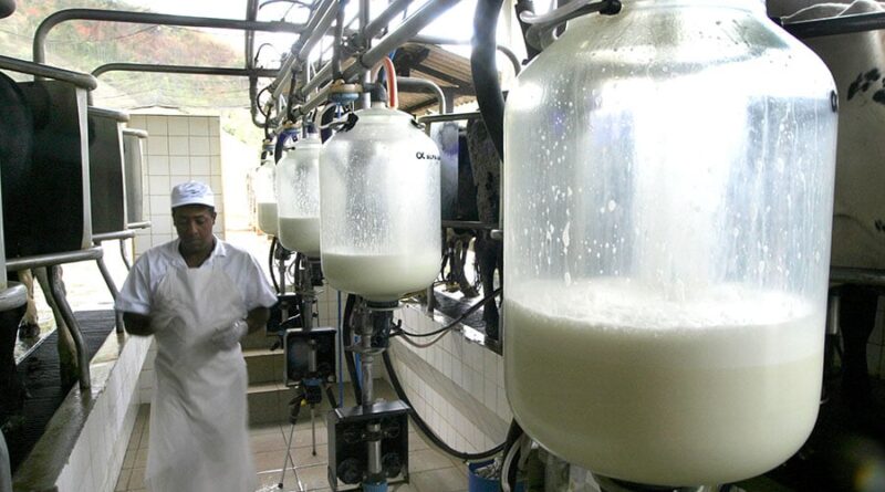 leite - propriedades leiteiras