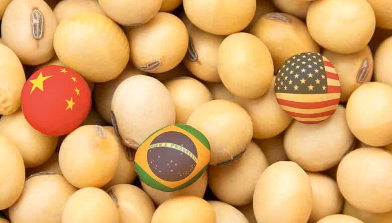 mercado da soja mundo preço