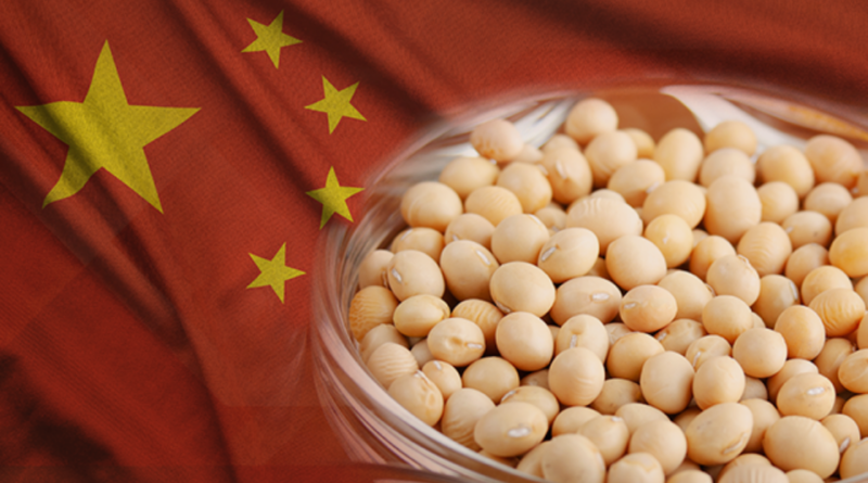China importação soja