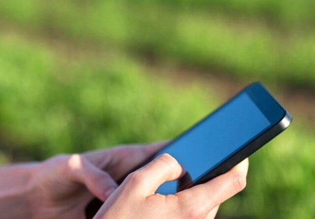 Em parceria com a Safras & Mercado, o Canal Rural passa a trazer cotações atualizadas no site