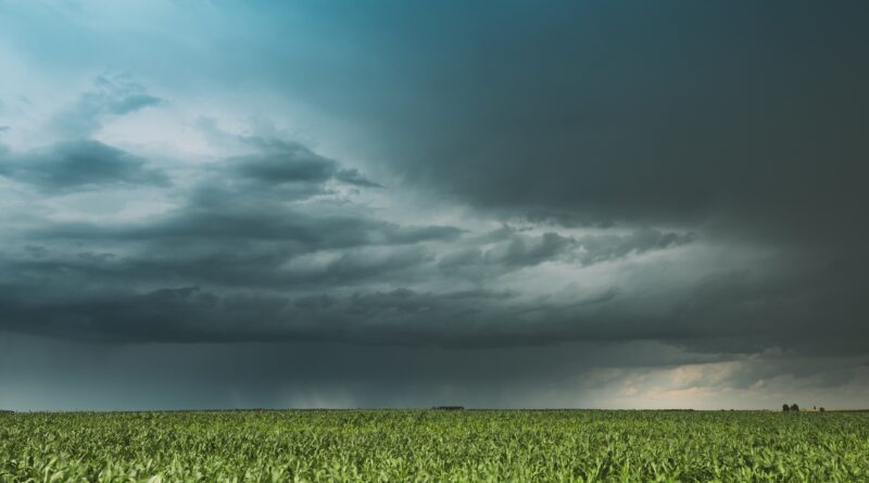 vento forte, ventania, chuva, tempestades