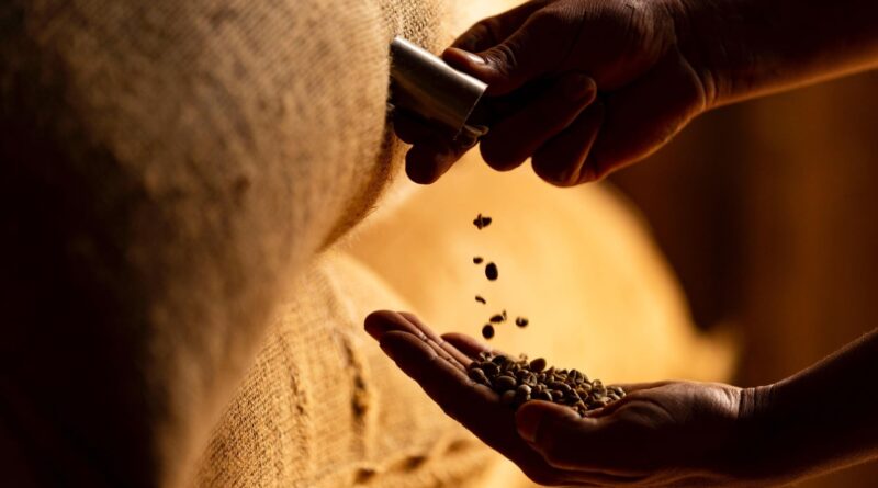 Mais de 680 mil sacas de café não foram embarcadas em outubro por defasagem portuária