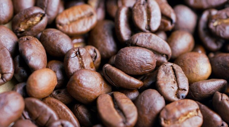 Produção de café cresce 4,3% em 2025 e exportações batem recorde