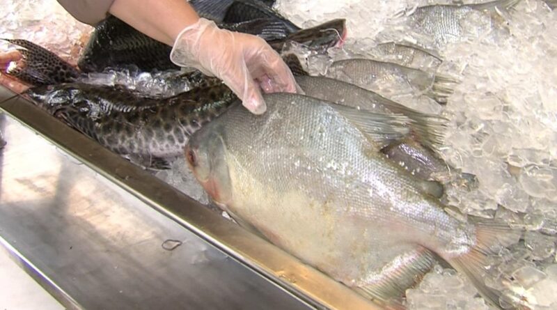 Peixes; Semana Santa