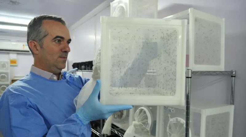 Pesquisador brasileiro é eleito uma das 10 pessoas que moldaram a ciência em 2025