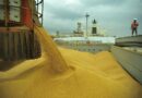 soja - exportação - usda - anec - abiove - mercados
