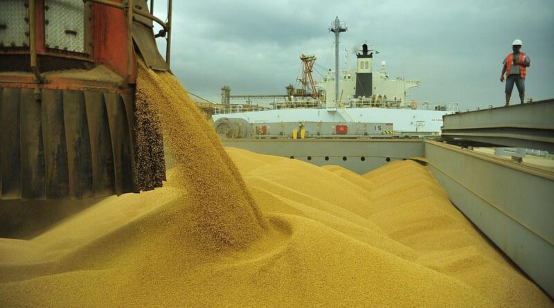 soja - exportação - usda - anec - abiove - mercados