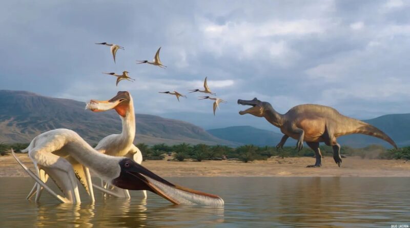 Vômito fossilizado revela nova espécie de pterossauro no Nordeste