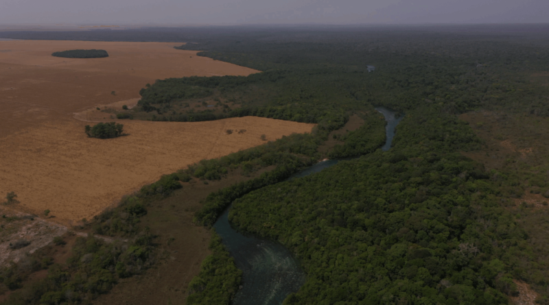 Derrubada de vetos traz licenciamento ambiental para século 21, diz Faesp