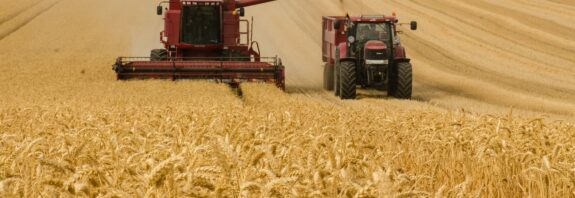 trabalho, agro, agronegócio, colheita, trigo, Cepea