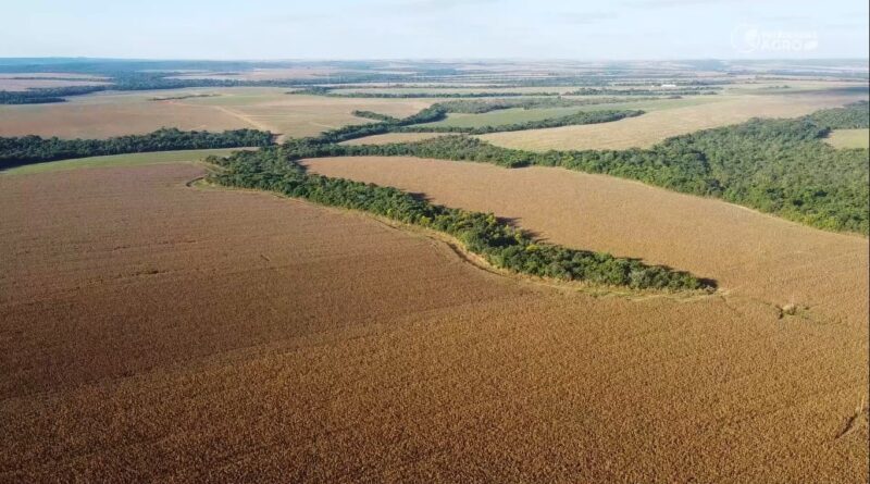 Agropecuária, indígenas, terras, arrendamento, georreferenciamento, invasão, fazendeiro, terras, projeto, esquema
