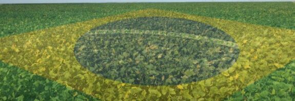 lavoura com bandeira do brasil agricultura