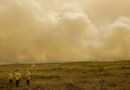 calor e incêndios