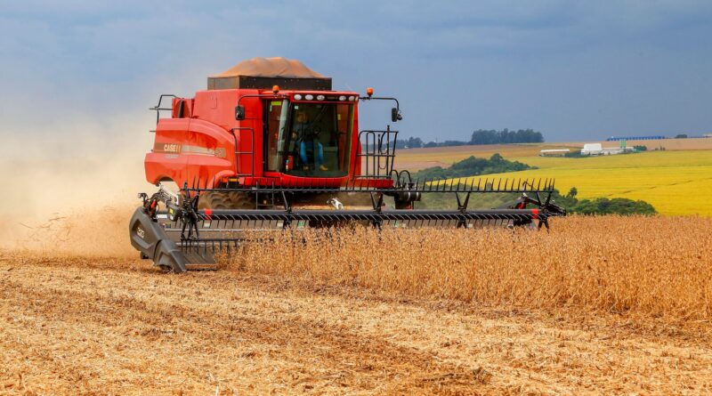 Cascavel, colheita de Soja, safra